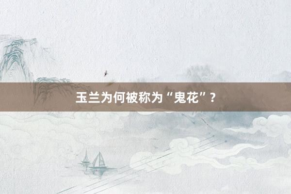 玉兰为何被称为“鬼花”？
